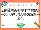 无锡城市职业技术学院是双一流大学吗?(无锡城院双一流？)