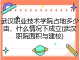 武汉职业技术学院占地多少亩，什么情况下成立(武汉职院面积与建校)