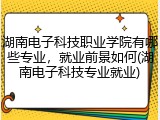 湖南电子科技职业学院有哪些专业，就业前景如何(湖南电子科技专业就业)