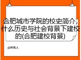 合肥城市学院的校史简介，什么历史与社会背景下建校的(合肥建校背景)