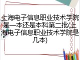 上海电子信息职业技术学院是一本还是本科第二批(上海电子信息职业技术学院是几本)