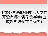 山东外国语职业技术大学共开设有哪些类型奖学金(山东外国语奖学金类型)