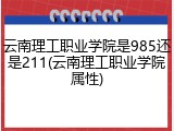 云南理工职业学院是985还是211(云南理工职业学院属性)