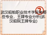 武汉船舶职业技术学院有哪些专业，王牌专业分析(武汉船院王牌专业)