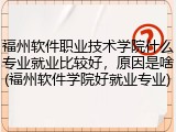 福州软件职业技术学院什么专业就业比较好，原因是啥(福州软件学院好就业专业)