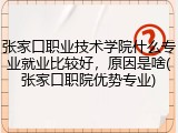 张家口职业技术学院什么专业就业比较好，原因是啥(张家口职院优势专业)
