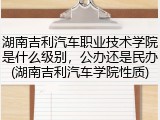 湖南吉利汽车职业技术学院是什么级别，公办还是民办(湖南吉利汽车学院性质)