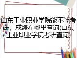 山东工业职业学院能不能考研，成绩在哪里查询(山东工业职业学院考研查询)