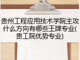 贵州工程应用技术学院主攻什么方向有哪些王牌专业(贵工院优势专业)