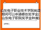 山东电子职业技术学院就读期间可以申请哪些奖学金(山东电子职院奖学金种类)