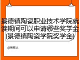 景德镇陶瓷职业技术学院就读期间可以申请哪些奖学金(景德镇陶瓷学院奖学金)