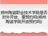朔州陶瓷职业技术学院是否对外开放，要预约吗(朔州陶瓷学院开放预约吗)