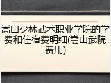 嵩山少林武术职业学院的学费和住宿费明细(嵩山武院费用)
