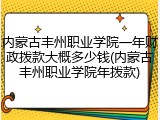 内蒙古丰州职业学院一年财政拨款大概多少钱(内蒙古丰州职业学院年拨款)