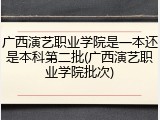 广西演艺职业学院是一本还是本科第二批(广西演艺职业学院批次)