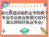 湖北铁道运输职业学院哪个专业毕业就业前景比较好(湖北铁院好就业专业)