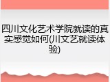 四川文化艺术学院就读的真实感觉如何(川文艺就读体验)