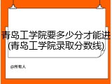 青岛工学院要多少分才能进(青岛工学院录取分数线)