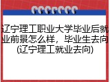 辽宁理工职业大学毕业后就业前景怎么样，毕业生去向(辽宁理工就业去向)