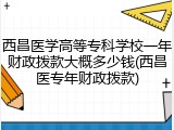 西昌医学高等专科学校一年财政拨款大概多少钱(西昌医专年财政拨款)