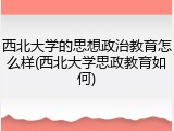 西北大学的思想政治教育怎么样(西北大学思政教育如何)