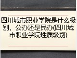 四川城市职业学院是什么级别，公办还是民办(四川城市职业学院性质级别)