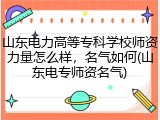 山东电力高等专科学校师资力量怎么样，名气如何(山东电专师资名气)