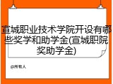 宣城职业技术学院开设有哪些奖学和助学金(宣城职院奖助学金)