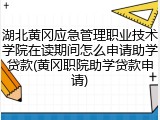 湖北黄冈应急管理职业技术学院在读期间怎么申请助学贷款(黄冈职院助学贷款申请)