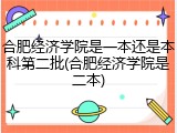合肥经济学院是一本还是本科第二批(合肥经济学院是二本)