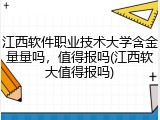 江西软件职业技术大学含金量量吗，值得报吗(江西软大值得报吗)