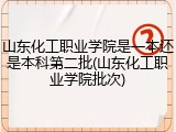 山东化工职业学院是一本还是本科第二批(山东化工职业学院批次)
