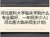河北医科大学临床学院什么专业最好，一年招多少人(河北医大临床招生计划)
