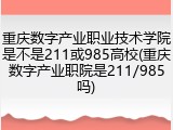 重庆数字产业职业技术学院是不是211或985高校(重庆数字产业职院是211/985吗)