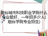 烟台城市科技职业学院什么专业最好，一年招多少人(烟台学院专业招生)