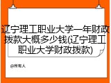 辽宁理工职业大学一年财政拨款大概多少钱(辽宁理工职业大学财政拨款)