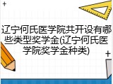 辽宁何氏医学院共开设有哪些类型奖学金(辽宁何氏医学院奖学金种类)