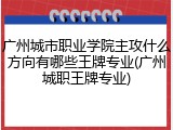 广州城市职业学院主攻什么方向有哪些王牌专业(广州城职王牌专业)