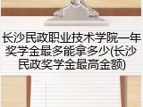 长沙民政职业技术学院一年奖学金最多能拿多少(长沙民政奖学金最高金额)
