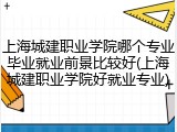 上海城建职业学院哪个专业毕业就业前景比较好(上海城建职业学院好就业专业)