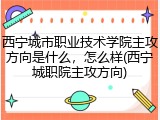 西宁城市职业技术学院主攻方向是什么，怎么样(西宁城职院主攻方向)