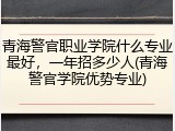 青海警官职业学院什么专业最好，一年招多少人(青海警官学院优势专业)