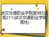 武汉交通职业学院是985还是211(武汉交通职业学院属性)