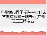 广州城市理工学院主攻什么方向有哪些王牌专业(广州理工王牌专业)