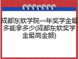 成都东软学院一年奖学金最多能拿多少(成都东软奖学金最高金额)