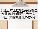 长江艺术工程职业学院哪些专业就业前景好，为什么(长江艺院就业优势专业)