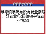 景德镇学院有没有就业指导，好就业吗(景德镇学院就业情况)