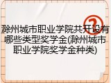 滁州城市职业学院共开设有哪些类型奖学金(滁州城市职业学院奖学金种类)