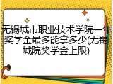 无锡城市职业技术学院一年奖学金最多能拿多少(无锡城院奖学金上限)