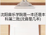 沈阳音乐学院是一本还是本科第二批(沈音是几本)